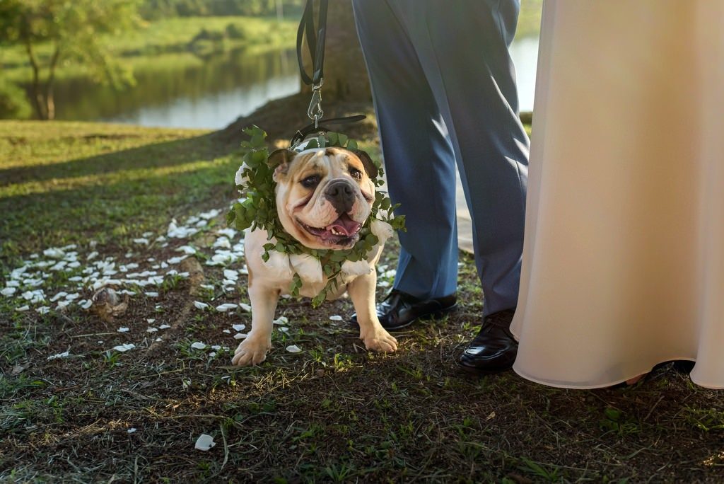 casamento na fazenda lageado